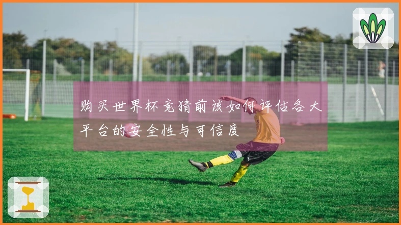 购买世界杯竞猜前该如何评估各大平台的安全性与可信度