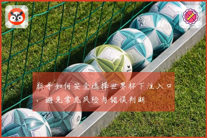 新手如何安全选择世界杯下注入口，避免常见风险与错误判断