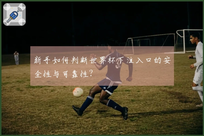新手如何判断世界杯下注入口的安全性与可靠性？