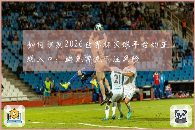 如何识别2026世界杯买球平台的正规入口，避免常见下注风险
