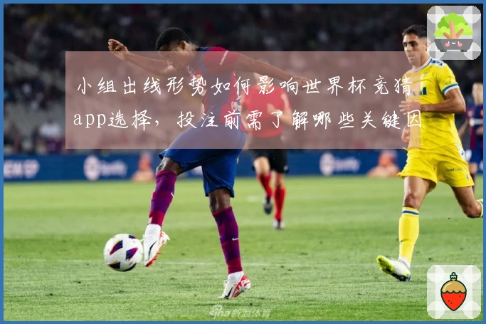 小组出线形势如何影响世界杯竞猜app选择，投注前需了解哪些关键因素