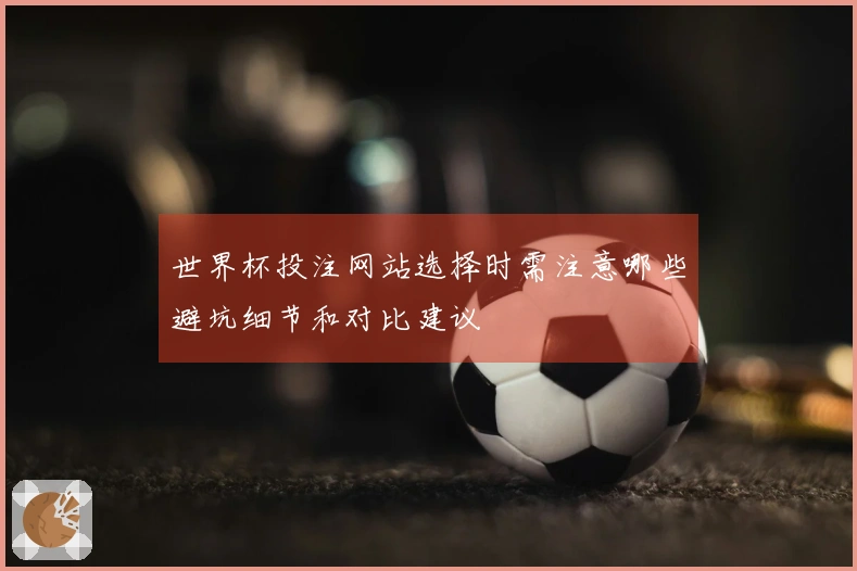 世界杯投注网站选择时需注意哪些避坑细节和对比建议