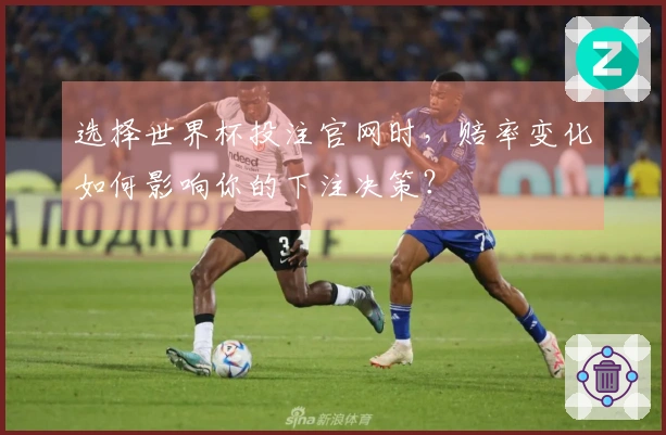 选择世界杯投注官网时，赔率变化如何影响你的下注决策？