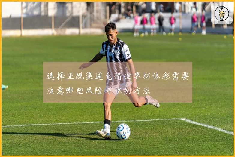 选择正规渠道竞猜世界杯体彩需要注意哪些风险与识别方法