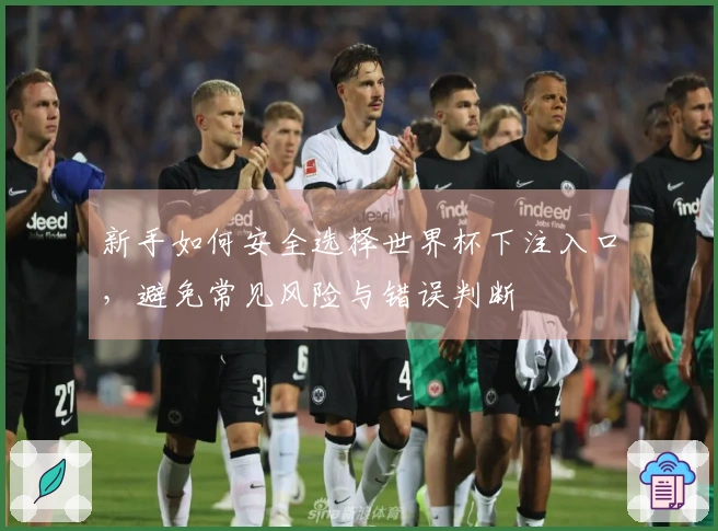 新手如何安全选择世界杯下注入口，避免常见风险与错误判断