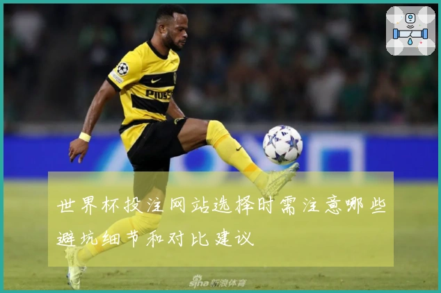 世界杯投注网站选择时需注意哪些避坑细节和对比建议