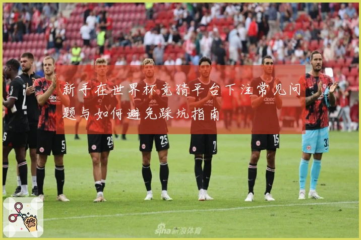 新手在世界杯竞猜平台下注常见问题与如何避免踩坑指南