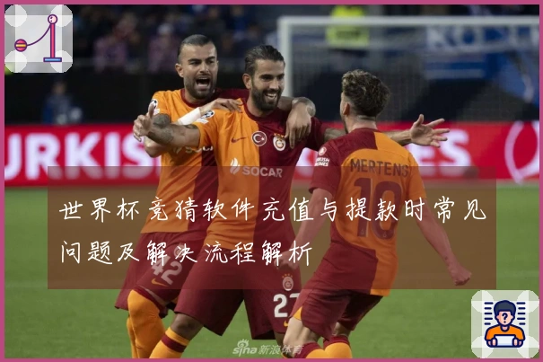 世界杯竞猜软件充值与提款时常见问题及解决流程解析