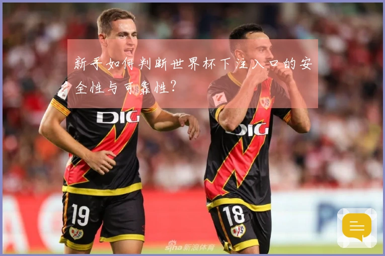 新手如何判断世界杯下注入口的安全性与可靠性？