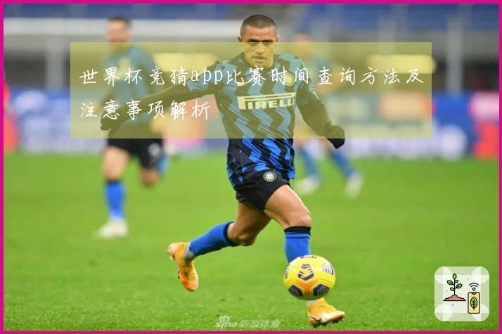 世界杯竞猜app比赛时间查询方法及注意事项解析