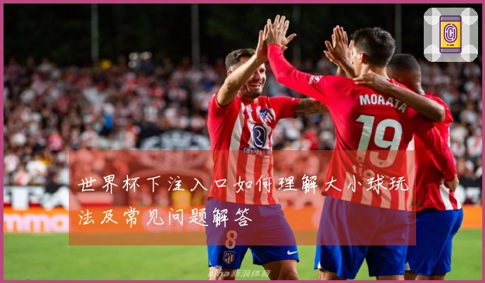 世界杯下注入口如何理解大小球玩法及常见问题解答