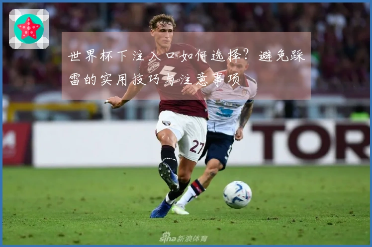 世界杯下注入口如何选择？避免踩雷的实用技巧与注意事项