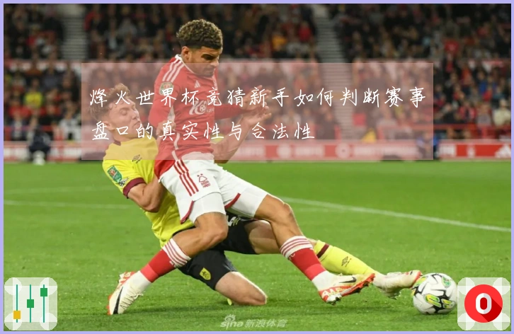 烽火世界杯竞猜新手如何判断赛事盘口的真实性与合法性