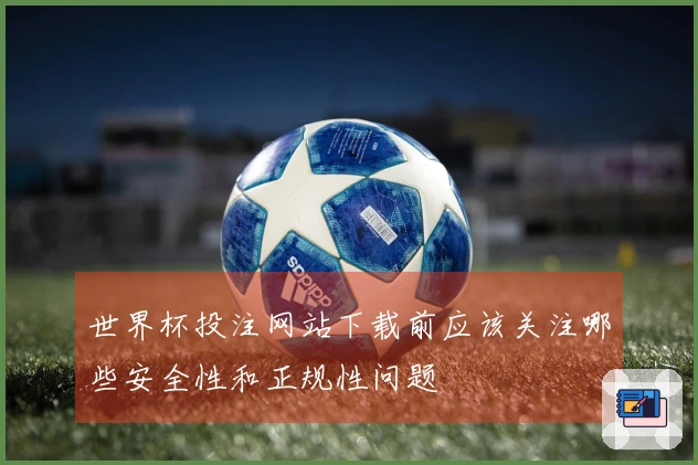 世界杯投注网站下载前应该关注哪些安全性和正规性问题